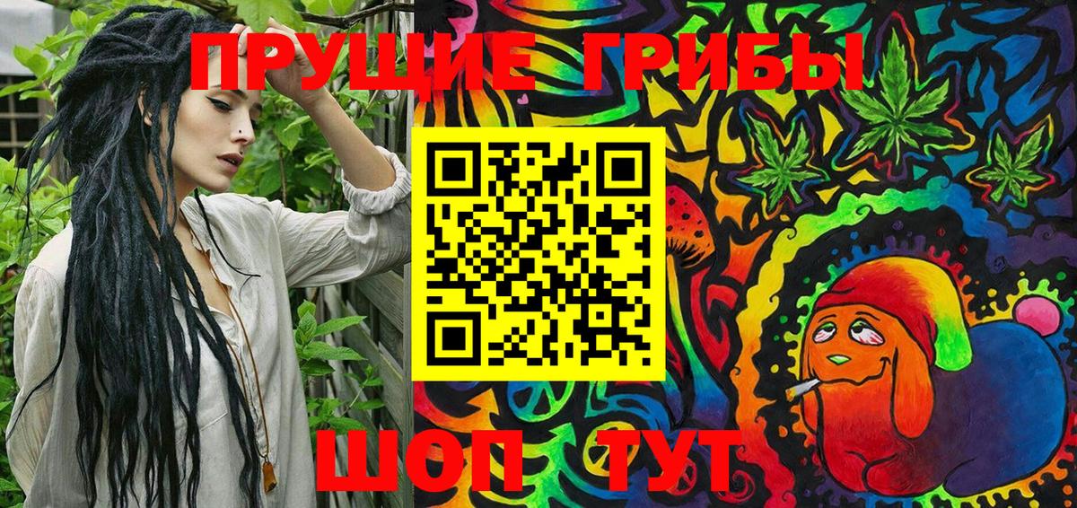 где купить наркотик  Вход с VPN  Новокубанск  Галлюциногенные грибы Magic Shrooms 